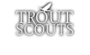 The Trout Scout, Beryl Rea